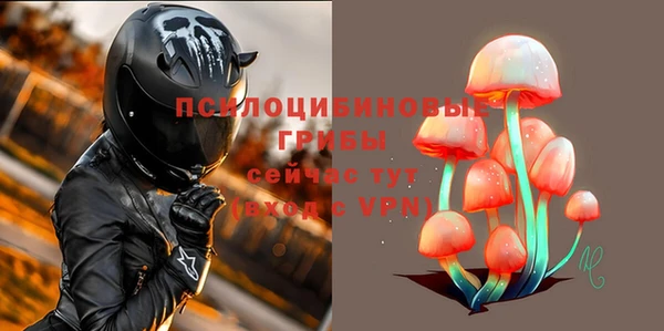 кокс Баксан