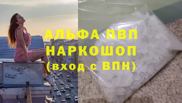 кокс Баксан