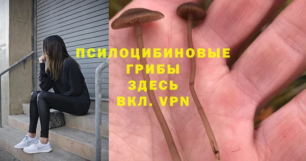 прущая мука Балахна