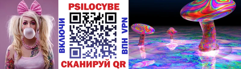 продажа наркотиков  Вязники  маркетплейс состав  Галлюциногенные грибы Magic Shrooms 